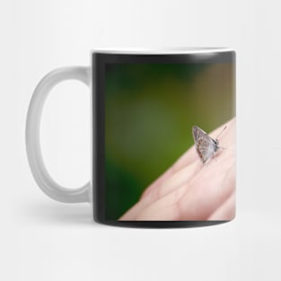 Tiny butterfly in my hand, nature photography Mug